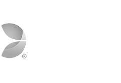 evo