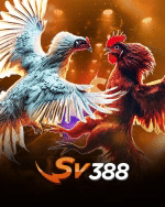 SV388