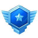 VIP Bronze