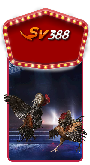 SV388 COCKFIGHTING