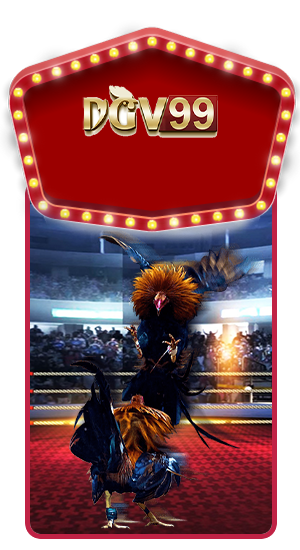 DGV99 SABUNG AYAM