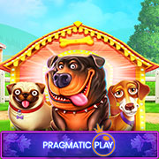 vswaysdogs
