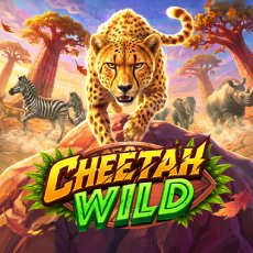 Game
