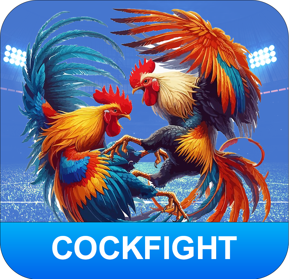 cock