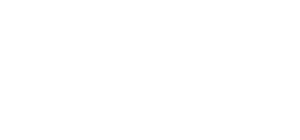 evo Logo